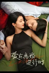 Любовь на грани развода (сериал 2025)