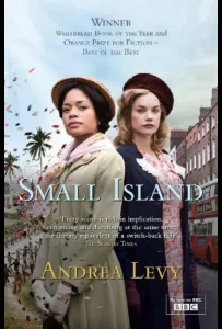 Маленький остров (сериал 2009)