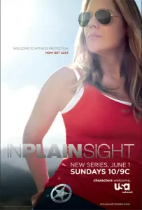 В простом виде (сериал 2008)