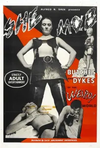 Девичья шайка (фильм 1968)