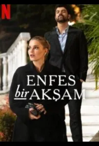 Восхитительный вечер (сериал 2025)